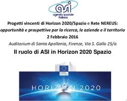 Il ruolo di ASI in Horizon 2020 Spazio - Progetti vincenti di Horizon 2020/Spazio e Rete NEREUS: Regione Toscana