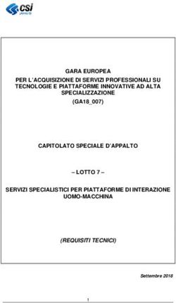 GARA EUROPEA PER L'ACQUISIZIONE DI SERVIZI PROFESSIONALI SU TECNOLOGIE E PIATTAFORME INNOVATIVE AD ALTA SPECIALIZZAZIONE (GA18_007) CAPITOLATO ...