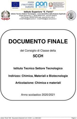 DOCUMENTO FINALE - Istituto Superiore Enrico Fermi