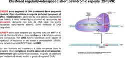 Clustered regularly-interspaced short palindromic repeats (CRISPR) - Unife