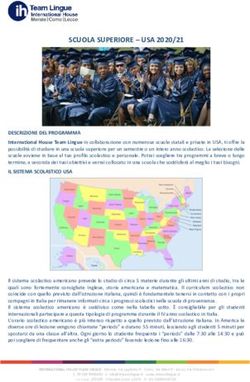 SCUOLA SUPERIORE - USA 2020/21 - Soggiorni Studio Team Lingue