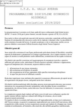 I.T.E. A. GALLO AVERSA PROGRAMMAZIONE DISCIPLINE ECONOMICO AZIENDALI