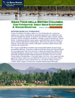Gran Tour della British Columbia - Con Fotosafari Great Bear Rainforest & Rockie Mountain durata 18 gg Prop 659-018 - Le Reve House Adventure