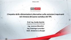 L'impatto delle alimentazioni alternative sulle emissioni inquinanti nel rinnovo del parco autobus del TPL - Prof. Ing. Guido Gentile