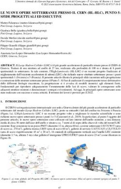 LE NUOVE OPERE SOTTERRANEE PRESSO IL CERN (HL-HLC), PUNTO 5: SFIDE PROGETTUALI ED ESECUTIVE - Pini