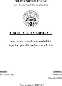 TESI DI LAUREA MAGISTRALE - POLITECNICO DI TORINO