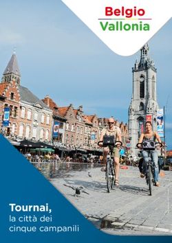 Tournai, la citt&agrave; dei cinque campanili - Wallonie Belgique Tourisme