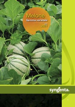 Melone 2021 Gamma varietale - Syngenta Italia