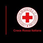 REGOLAMENTO CONDOTTA AUTISTI E CONDUZIONE AUTOMEZZI - Croce ...