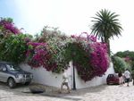 CONFESSO, HO VIAGGIATO - Noemi Stefani TUNISIA, EGITTO, GIORDANIA, ISRAELE E PALESTINA