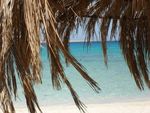 CONFESSO, HO VIAGGIATO - Noemi Stefani TUNISIA, EGITTO, GIORDANIA, ISRAELE E PALESTINA