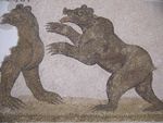 CONFESSO, HO VIAGGIATO - Noemi Stefani TUNISIA, EGITTO, GIORDANIA, ISRAELE E PALESTINA
