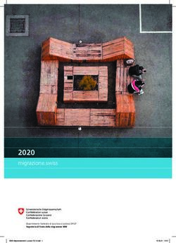 2020 migrazione.swiss - SEM