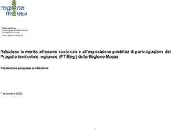 Relazione in merito all'esame cantonale e all'esposizione pubblica di partecipazione del Progetto territoriale regionale (PT Reg.) della Regione Moesa