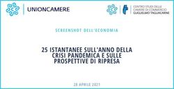 25 ISTANTANEE SULL'ANNO DELLA CRISI PANDEMICA E SULLE PROSPETTIVE DI RIPRESA - SCREENSHOT DELL'ECONOMIA - Unioncamere