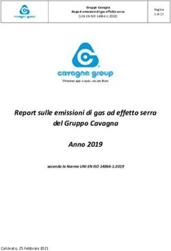 Report sulle emissioni di gas ad effetto serra del Gruppo Cavagna Anno 2019 - secondo la Norma UNI EN ISO 14064-1:2019