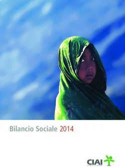 Bilancio Sociale 2014 - Ciai