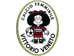 NON SOLO SERIE A TIFO - Permac Vittorio Veneto