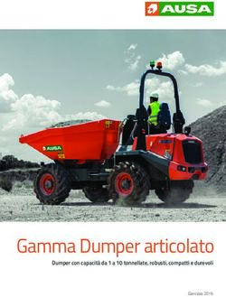 Gamma Dumper articolato - Dumper con capacit&agrave; da 1 a 10 tonnellate, robusti, compatti e durevoli - Fiemme Noleggi