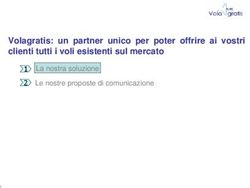Volagratis: un partner unico per poter offrire ai vostri clienti tutti i voli esistenti sul mercato
