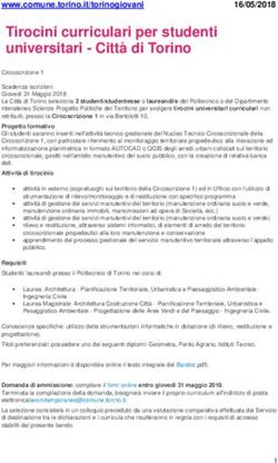 Tirocini curriculari per studenti universitari - Città di Torino - Comune di Bruino