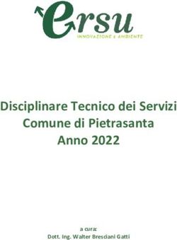 Disciplinare Tecnico dei Servizi Comune di Pietrasanta Anno 2022 - a cura: Dott. Ing. Walter Bresciani Gatti