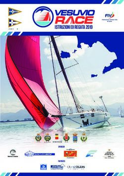 ISTRUZIONI DI REGATA 2019 - SPONSOR PARTNERS - VesuvioRace