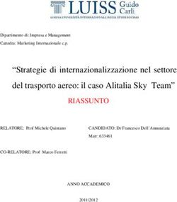 Strategie di internazionalizzazione nel settore