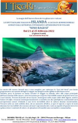 "NINO RAGUSI" LO SPETTACOLARE VIAGGIO IN ISLANDA A CACCIA DI AURORE BOREALI - Diomira Travel