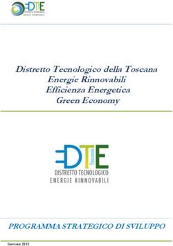Distretto Tecnologico della Toscana Energie Rinnovabili Efficienza Energetica Green Economy - PROGRAMMA STRATEGICO DI SVILUPPO