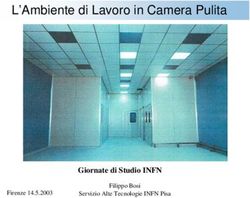 L'Ambiente di Lavoro in Camera Pulita - Giornate di Studio INFN Filippo Bosi Firenze 14.5.2003 - INFN - Pisa
