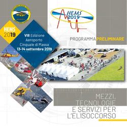 MEZZI, TECNOLOGIE E SERVIZI PER L'ELISOCCORSO 2019 - Ministero della Difesa