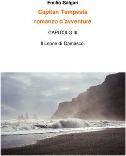 Capitan Tempesta romanzo d'avventure - Emilio Salgari Il Leone di Damasco - Rai