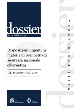 Disposizioni urgenti in materia di perimetro di sicurezza nazionale cibernetica - D.L. 105/2019 - A.C. 2100