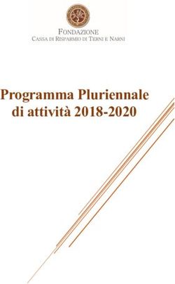 Programma Pluriennale di attività 2018-2020 - Fondazione Carit