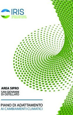 PIANO DI ADATTAMENTO AI CAMBIAMENTI CLIMATICI - AREA SIPRO SAN GIOVANNI DI OSTELLATO