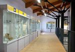 Il Museo dei Palaeoambienti Sulcitani "E.A. Martel" di Carbonia (Sardegna)