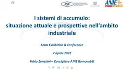 I sistemi di accumulo: situazione attuale e prospettive nell'ambito industriale - Solar Exhibition & Conference 7 aprile 2022 Fabio Zanellini ...