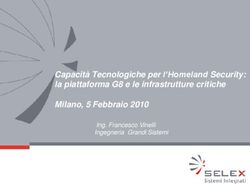 Capacità Tecnologiche per l'Homeland Security: la piattaforma G8 e le infrastrutture critiche Milano, 5 Febbraio 2010 - Ing. Francesco Vinelli ...