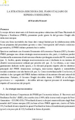 LA STRATEGIA RISCHIOSA DEL PIANO ITALIANO DI RIPRESA E RESILIENZA