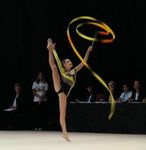 GINNASTICA ARTISTICA - Istruzione Verona