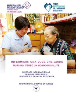 INFERMIERI: UNA VOCE CHE GUIDA - NURSING: VERSO UN MONDO IN SALUTE GIORNATA INTERNAZIONALE - ICN Voice to Lead