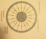 ESAME DI STATO DOCUMENTO DEL CONSIGLIO DI CLASSE - Classe 5 A LSA - Anno scolastico 2019/2020