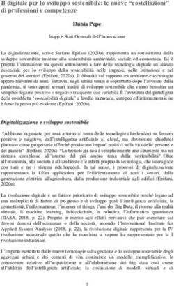 Il digitale per lo sviluppo sostenibile: le nuove "costellazioni" di professioni e competenze