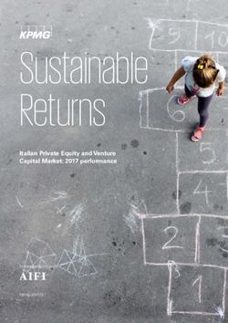 Sustainable Returns Italian Private Equity and Venture Capital Market: 2017 performance - KPMG