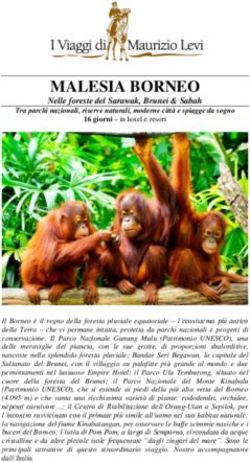 MALESIA BORNEO Nelle foreste del Sarawak, Brunei & Sabah - I Viaggi di ...