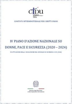 DONNE, PACE E SICUREZZA (2020 - 2024) - COMITATO INTERMINISTERIALE PER I DIRITTI UMANI