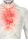 L'IMPATTO DELLA FIBRILLAZIONA ATRIALE - Report Completo 2018 Comprendere l'Impatto dell'Epidemia - Get Smart About AFIB