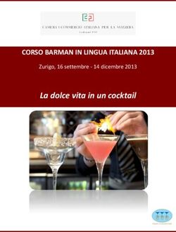 La dolce vita in un cocktail - CORSO BARMAN IN LINGUA ITALIANA 2013 Zurigo, 16 settembre - 14 dicembre 2013