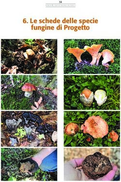 Le schede delle specie fungine di Progetto - Regione Piemonte